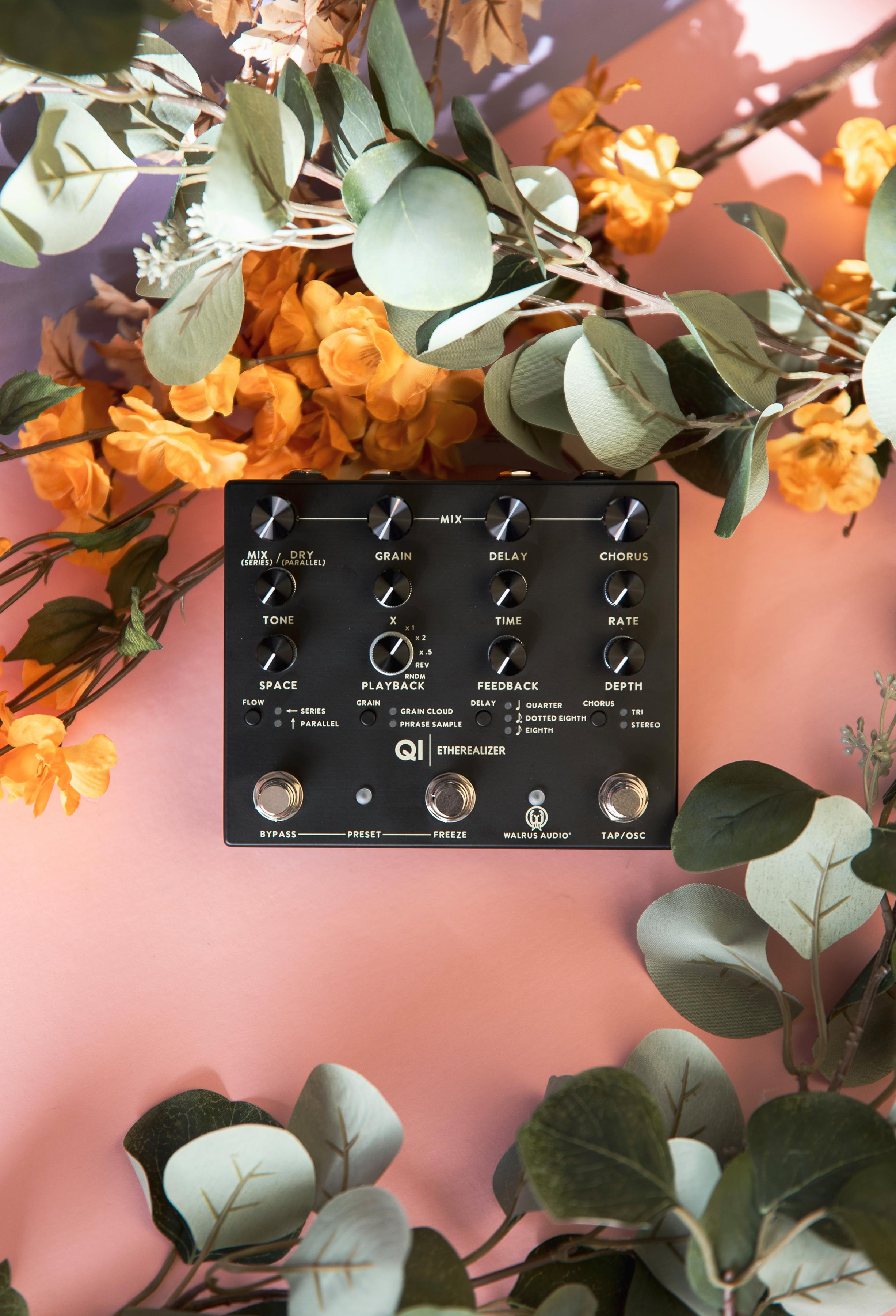 Walrus Audio Qi Etherealizer Yvette Young Signature Pedal in Black